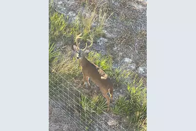 343 Cypress Drive, Santa Rosa Beach, FL 32459 - Photo 91