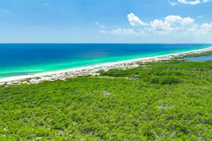 343 Cypress Dr, Santa Rosa Beach, FL 32459 - Photo 71