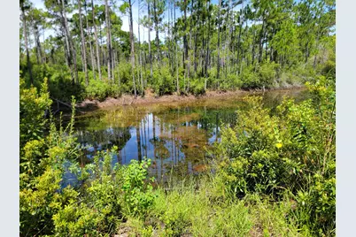 Lot 8 Delbert Lane, Santa Rosa Beach, FL 32459 - Photo 5