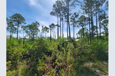 Lot 8 Delbert Lane, Santa Rosa Beach, FL 32459 - Photo 7