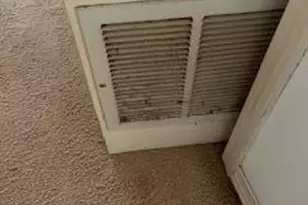 2552 Palm Shores Dr, Shalimar, FL 32579 - Photo 31