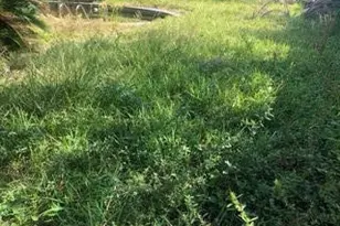 2552 Palm Shores Dr, Shalimar, FL 32579 - Photo 53