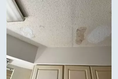 2552 Palm Shores Drive, Shalimar, FL 32579 - Photo 47