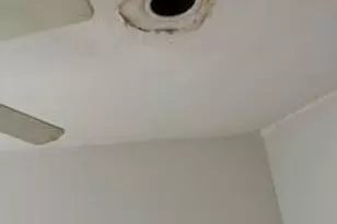 2552 Palm Shores Dr, Shalimar, FL 32579 - Photo 29