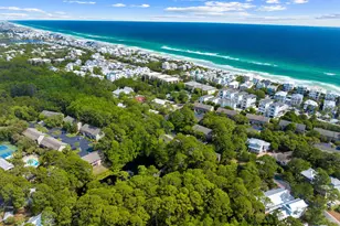 125 Cassine Garden Cir, Santa Rosa Beach, FL 32459 - Photo 49