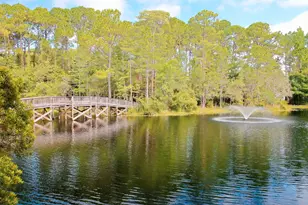 125 Cassine Garden Cir, Santa Rosa Beach, FL 32459 - Photo 67