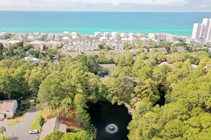 125 Cassine Garden Cir, Santa Rosa Beach, FL 32459 - Photo 61