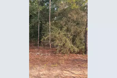 Lot 7 Margaret Boulevard, Defuniak Springs, FL 32433 - Photo 9