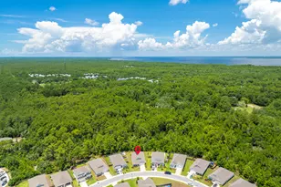 157 JRS Wy, Santa Rosa Beach, FL 32459 - Photo 43