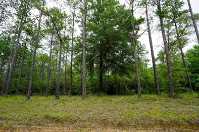 817 N Planters Drive N, Laurel Hill, FL 32567 - Photo 13