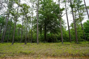 817 N Planters Dr N, Laurel Hill, FL 32567 - Photo 13