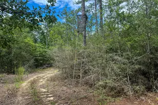 817 N Planters Dr N, Laurel Hill, FL 32567 - Photo 11