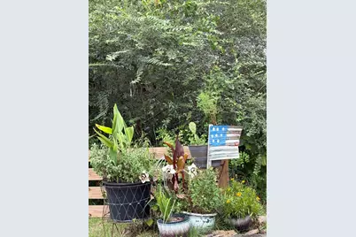 335 Acacia Street, Santa Rosa Beach, FL 32459 - Photo 33