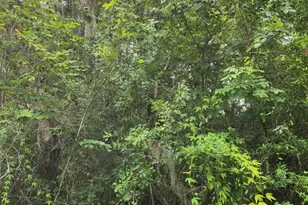 Lot 7 5th St, Santa Rosa Beach, FL 32459 - Photo 1