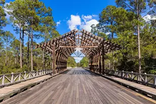 694 Flatwoods Forest Loop, Santa Rosa Beach, FL 32459 - Photo 49