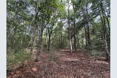 Lot D Pineforest Drive, Crestview, FL 32539 - Photo 3