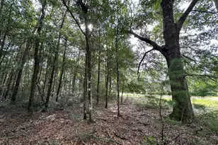 Lot D Pineforest Dr, Crestview, FL 32539 - Photo 1