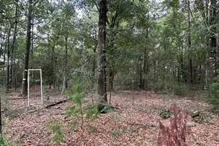 5800 Block Pineforest Dr, Crestview, FL 32539 - Photo 19