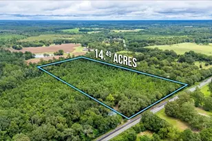 0 N Hwy 85 N, Laurel Hill, FL 32567 - Photo 1