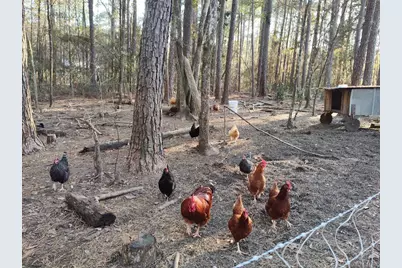 600 Jasper Floyd Road, Ponce de Leon, FL 32455 - Photo 13