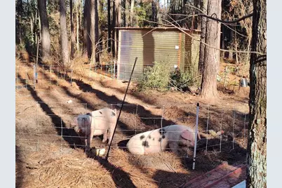 600 Jasper Floyd Road, Ponce de Leon, FL 32455 - Photo 19