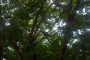 3799 E County Hwy 30A E, Santa Rosa Beach, FL 32459 - Photo 19