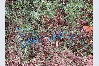 Lot 123 Eagle Court, Crestview, FL 32539 - Photo 27