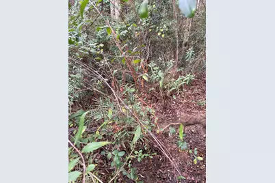 Lot 123 Eagle Court, Crestview, FL 32539 - Photo 15