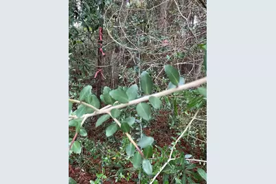 Lot 123 Eagle Court, Crestview, FL 32539 - Photo 21