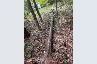 Lot 123 Eagle Court, Crestview, FL 32539 - Photo 29