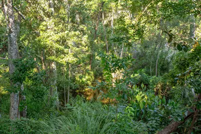 229 Hillside Drive, Niceville, FL 32578 - Photo 67