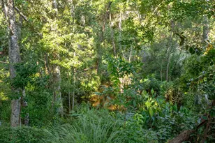 229 Hillside Dr, Niceville, FL 32578 - Photo 67