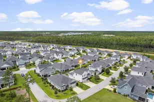 290 Windrow Way, Watersound, FL 32461 - Photo 43