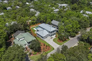 225 Clareon Dr, Inlet Beach, FL 32461 - Photo 63