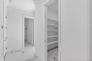 225 Clareon Dr, Inlet Beach, FL 32461 - Photo 23