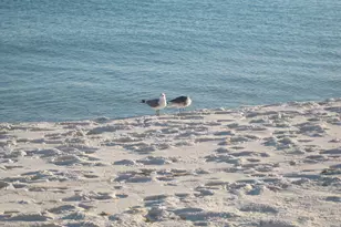 663 Nautilus Ct, Fort Walton Beach, FL 32548 - Photo 21