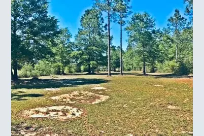 Lot 33 Caswell Drive, Defuniak Springs, FL 32433 - Photo 7
