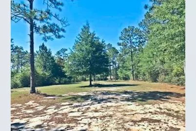 Lot 33 Caswell Drive, Defuniak Springs, FL 32433 - Photo 5