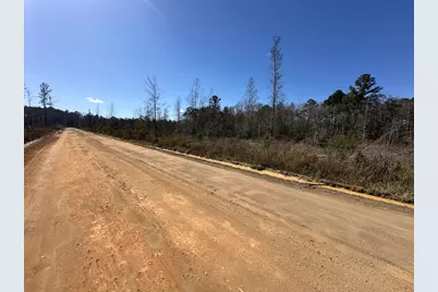 Tract#6402 N Chance Road, Chipley, FL 32428 - Photo 3