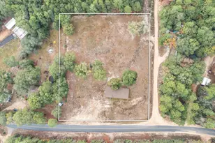 6224 Old River Rd, Baker, FL 32531 - Photo 35