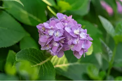 11 Tristram Way, Miramar Beach, FL 32550 - Photo 45