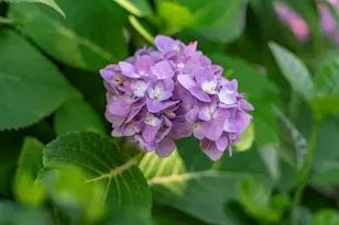 11 Tristram Way, Miramar Beach, FL 32550 - Photo 45