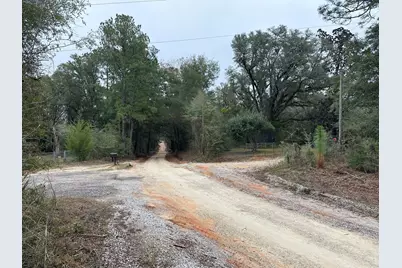 Tract#6418 S Bryant Bay Road, Caryville, FL 32427 - Photo 3