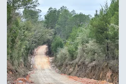 Tract#6418 S Bryant Bay Road, Caryville, FL 32427 - Photo 5