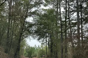 Tract#6418 S Bryant Bay Rd, Caryville, FL 32427 - Photo 1