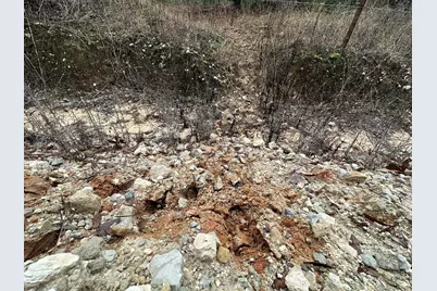 Tract#6418 Mattox Springs Road, Caryville, FL 32427 - Photo 3