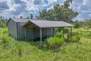 19618 Hwy 231, Fountain, FL 32438 - Photo 3