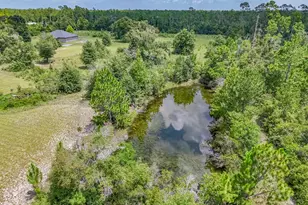 19618 Hwy 231, Fountain, FL 32438 - Photo 73