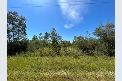 Xxx Rollohome Road, Fountain, FL 32438 - Photo 1