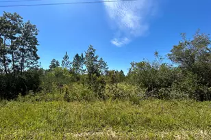 Xxx Rollohome Rd, Fountain, FL 32438 - Photo 1